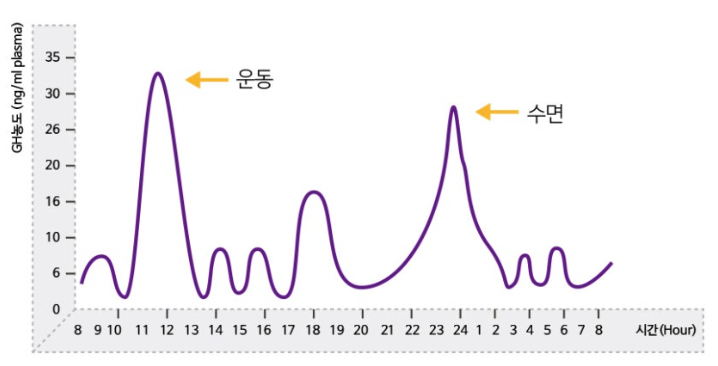 키성장 영양제